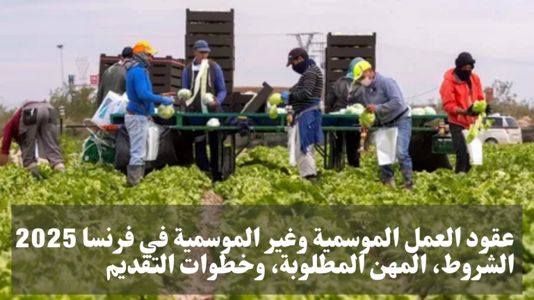 🌍 عقود العمل الموسمية وغير الموسمية في فرنسا 2025: الشروط، المهن المطلوبة، وخطوات التقديم