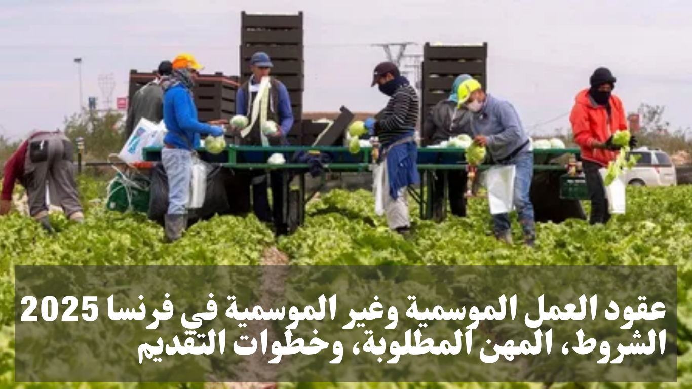 🌍 عقود العمل الموسمية وغير الموسمية في فرنسا 2025: الشروط، المهن المطلوبة، وخطوات التقديم