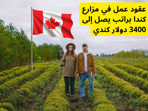 عقود عمل في مزارع كندا براتب يصل إلى 3400 دولار كندي